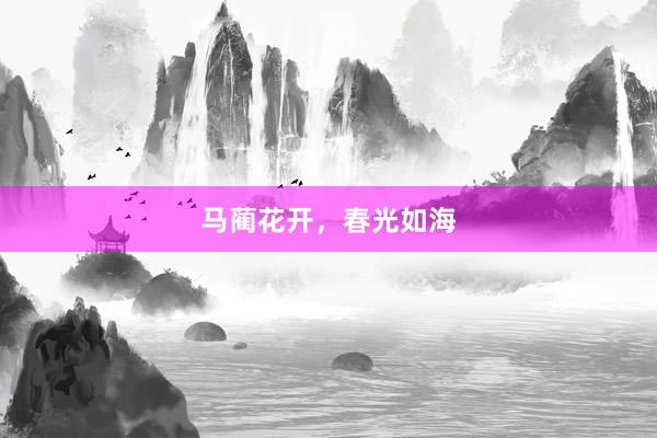 马蔺花开，春光如海