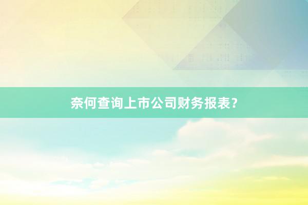 奈何查询上市公司财务报表？