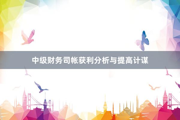 中级财务司帐获利分析与提高计谋